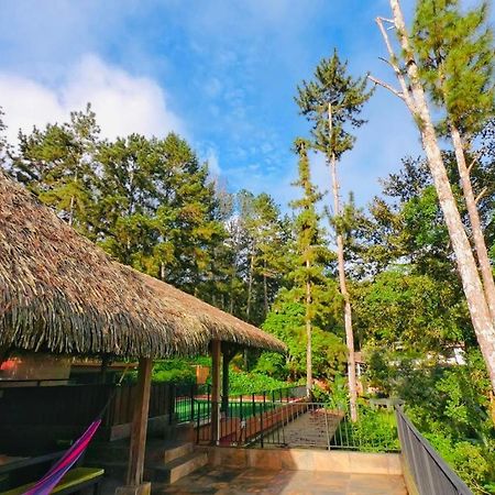 La Semilla Ecolodge Cerro Azul Exterior photo